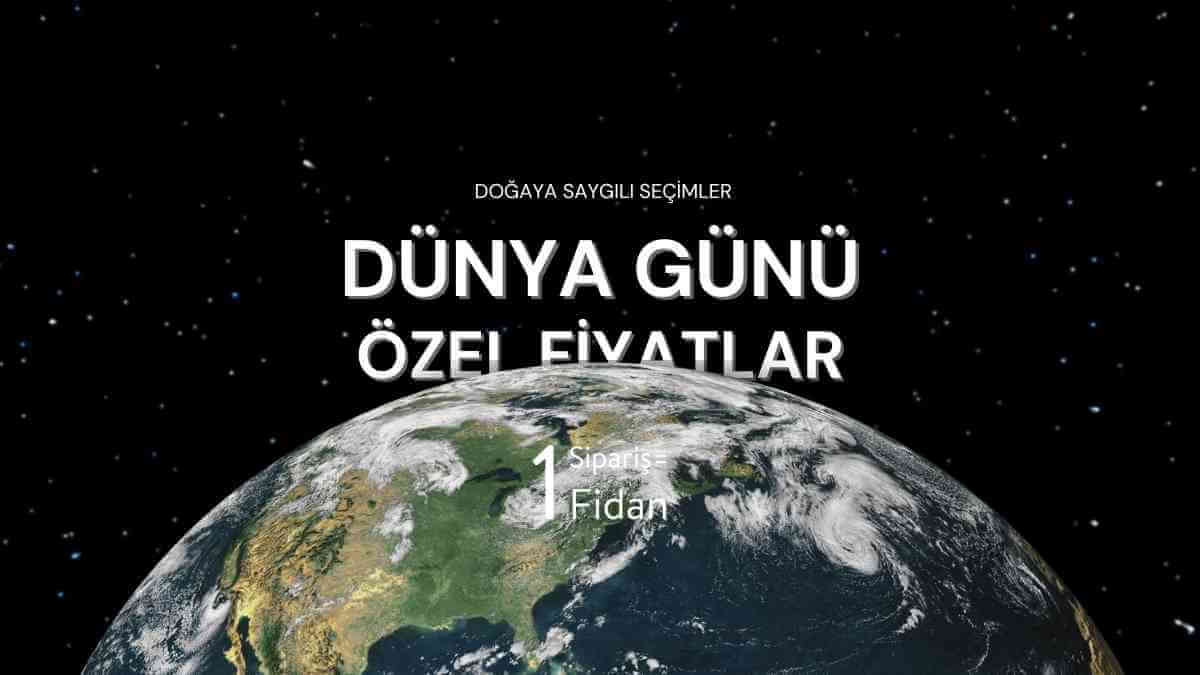 Videoyu yükle: Pera Halı İndirimleri