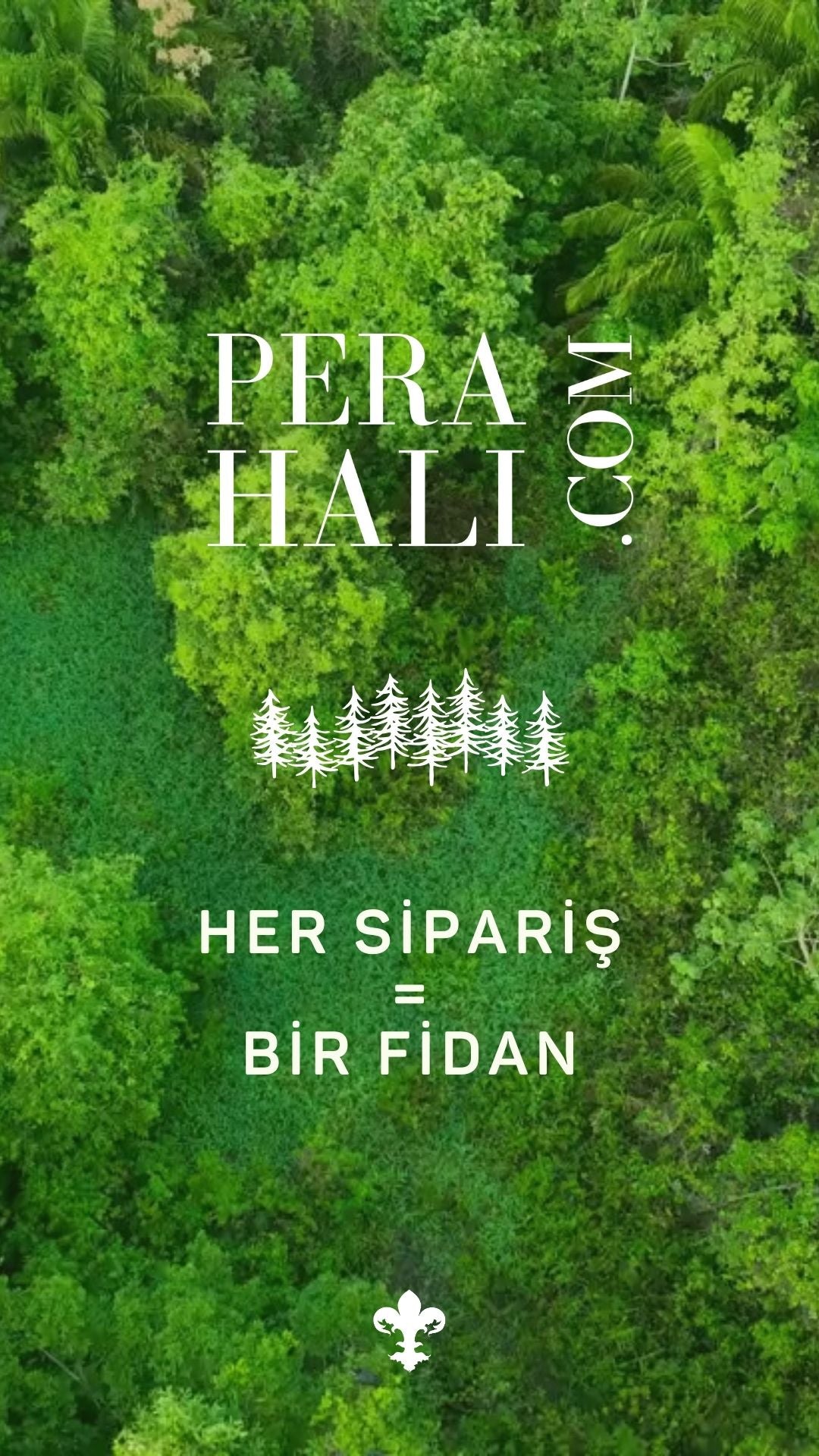 Pera Halı Koleksiyon Banner